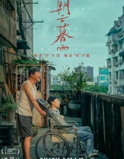 مشاهدة فيلم Strangers When We Meet 2024 مترجم حصرى اون لاين على أكثر من سيرفر