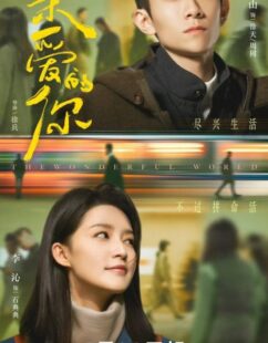 مشاهدة مسلسل العالم الرائع The Wonderful World الحلقة 17 مترجمة حصرى